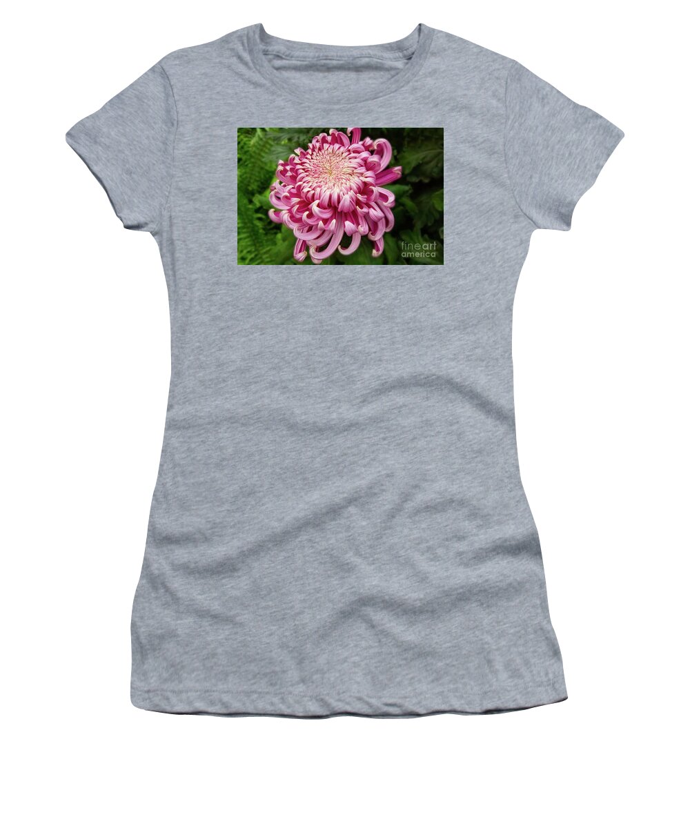 Chrysanthemum Women's T-Shirt featuring the photograph A Gemstone of a Flower by Marilyn Cornwell