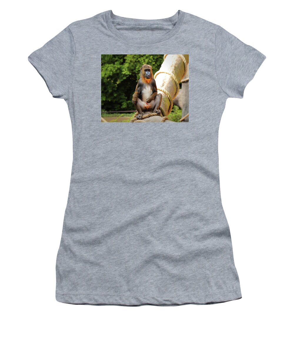 Mandrill Women's T-Shirt featuring the photograph Mandrillus sphinx sitting on the trunk by Vaclav Sonnek