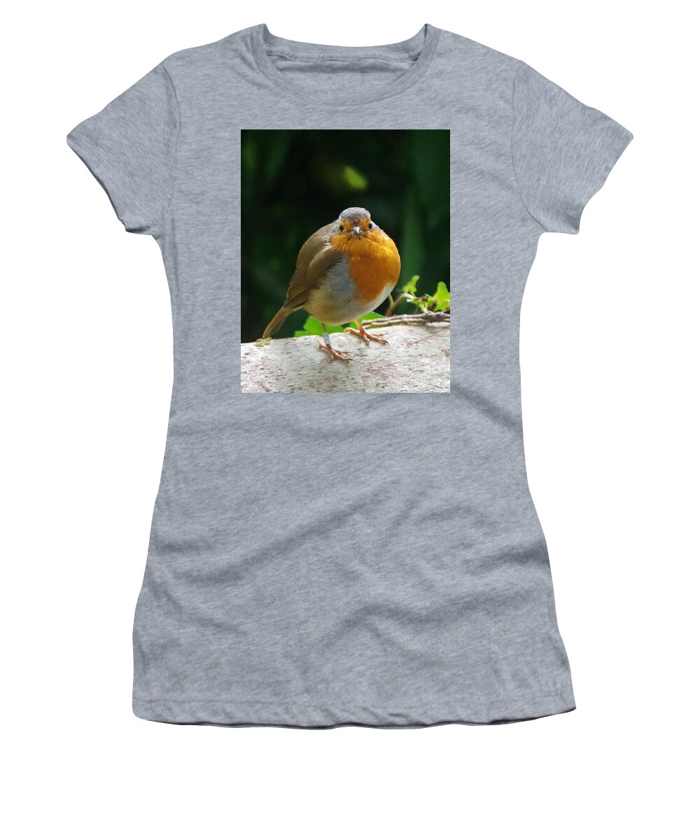 Robin Women's T-Shirt featuring the photograph A Round Robin by Lesley Evered