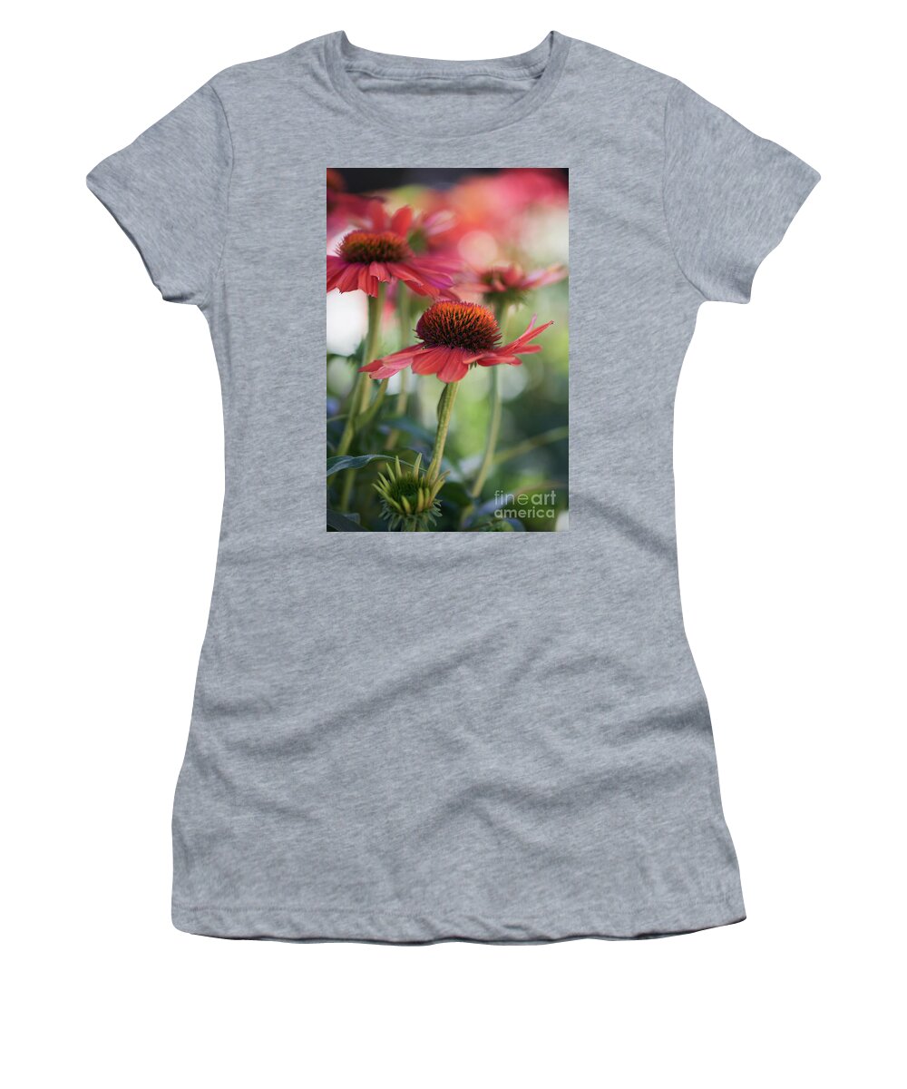 Coneflowers Women's T-Shirt featuring the photograph A shining Pink Coneflower by Abigail Diane Photography