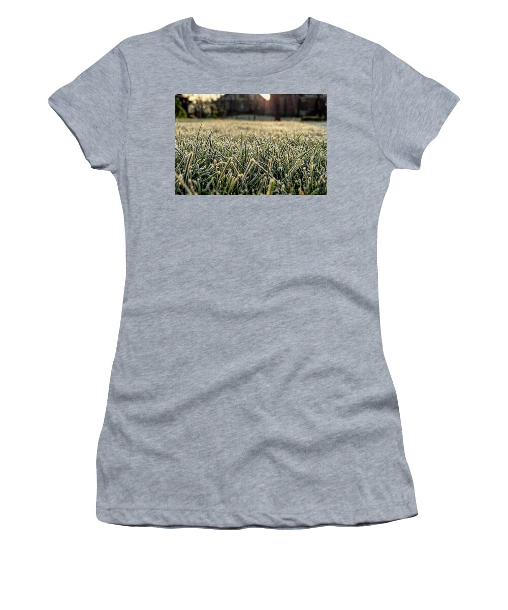 Environment Women's T-Shirt featuring the photograph Stem of grass are covering snow. by Vaclav Sonnek