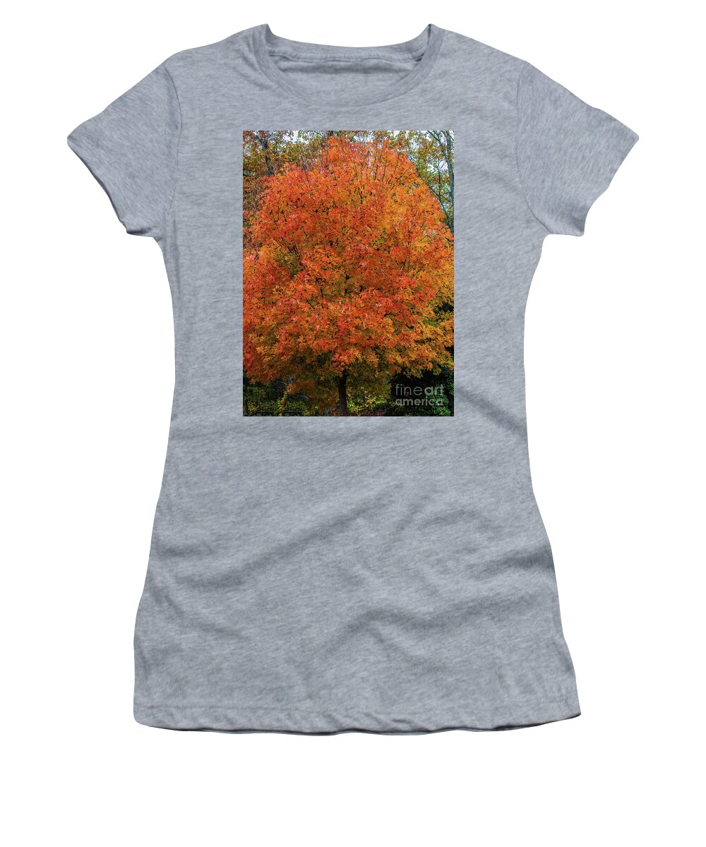 Tree Women's T-Shirt featuring the photograph A Tinge of Red Fall Tree by Roberta Byram
