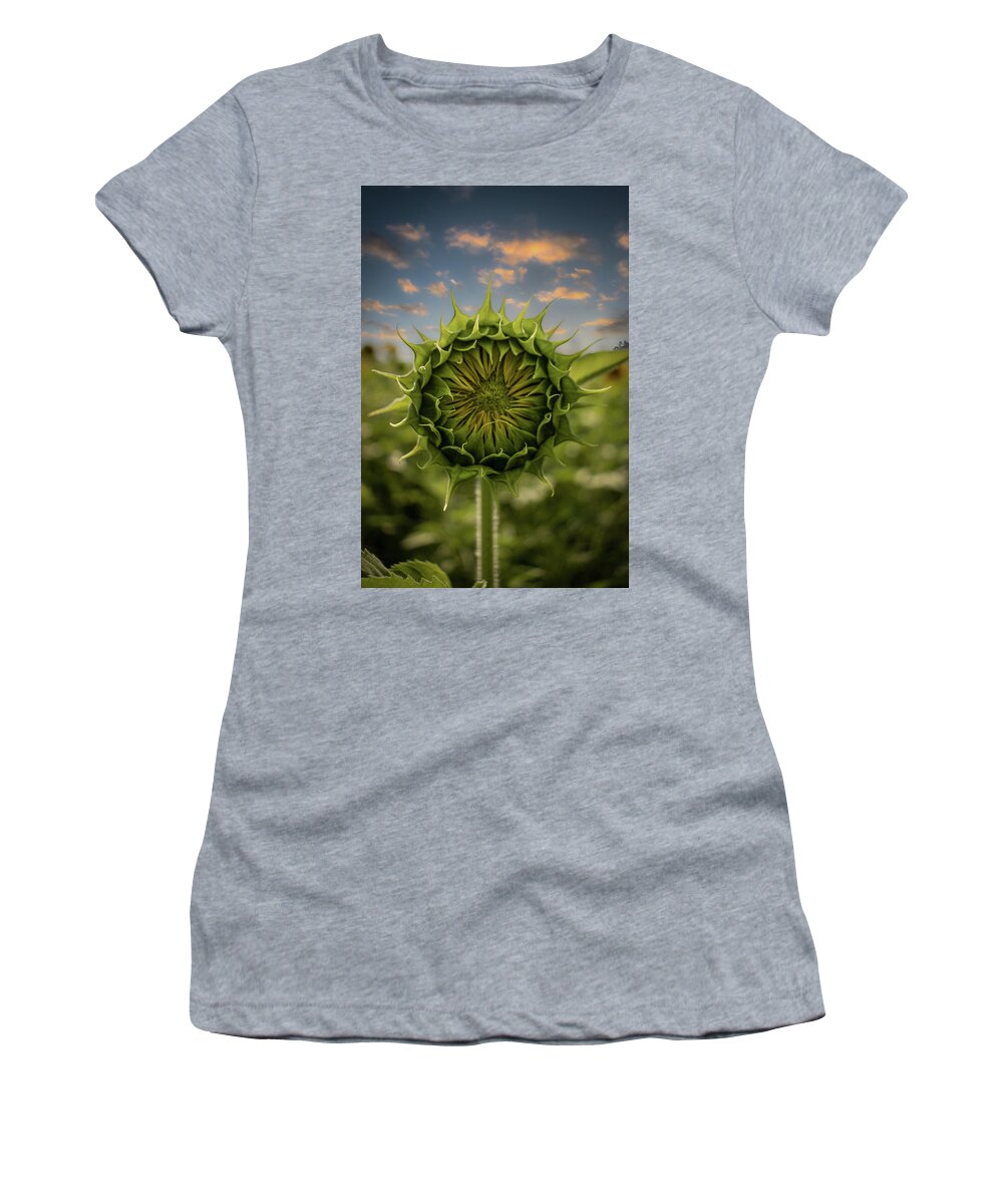 Sunflower Women's T-Shirt featuring the photograph About To Pop Out by Rick Nelson