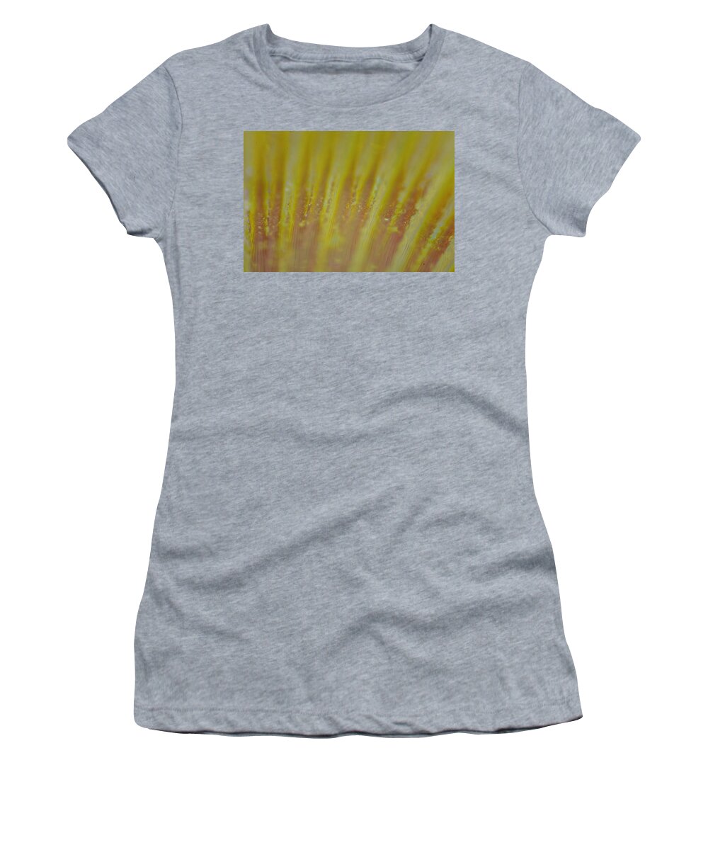 Abstract Women's T-Shirt featuring the photograph Abstract Yellow by Neil R Finlay