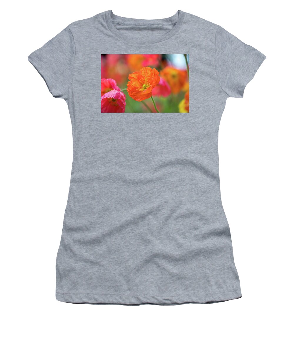Orange Poppy Flowers Women's T-Shirt featuring the photograph Abundant Passion by Az Jackson