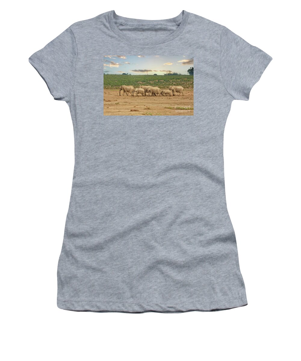 Addo Elephant Park Women's T-Shirt featuring the photograph African elephants in a row in South Africa by Patricia Hofmeester