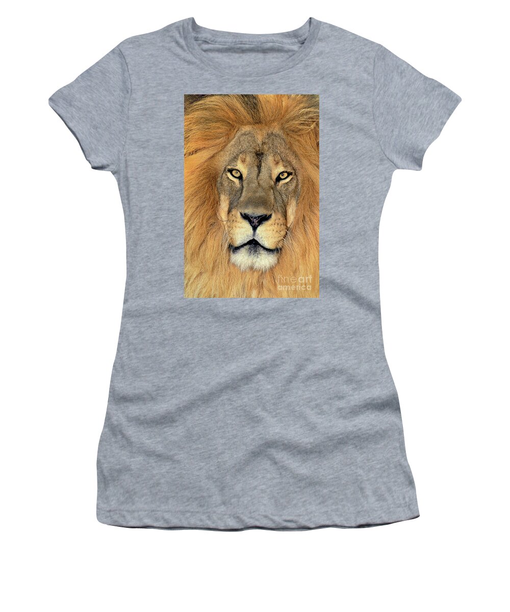 African Lion Women's T-Shirt featuring the photograph African Lion Portrait Wildlife Rescue by Dave Welling