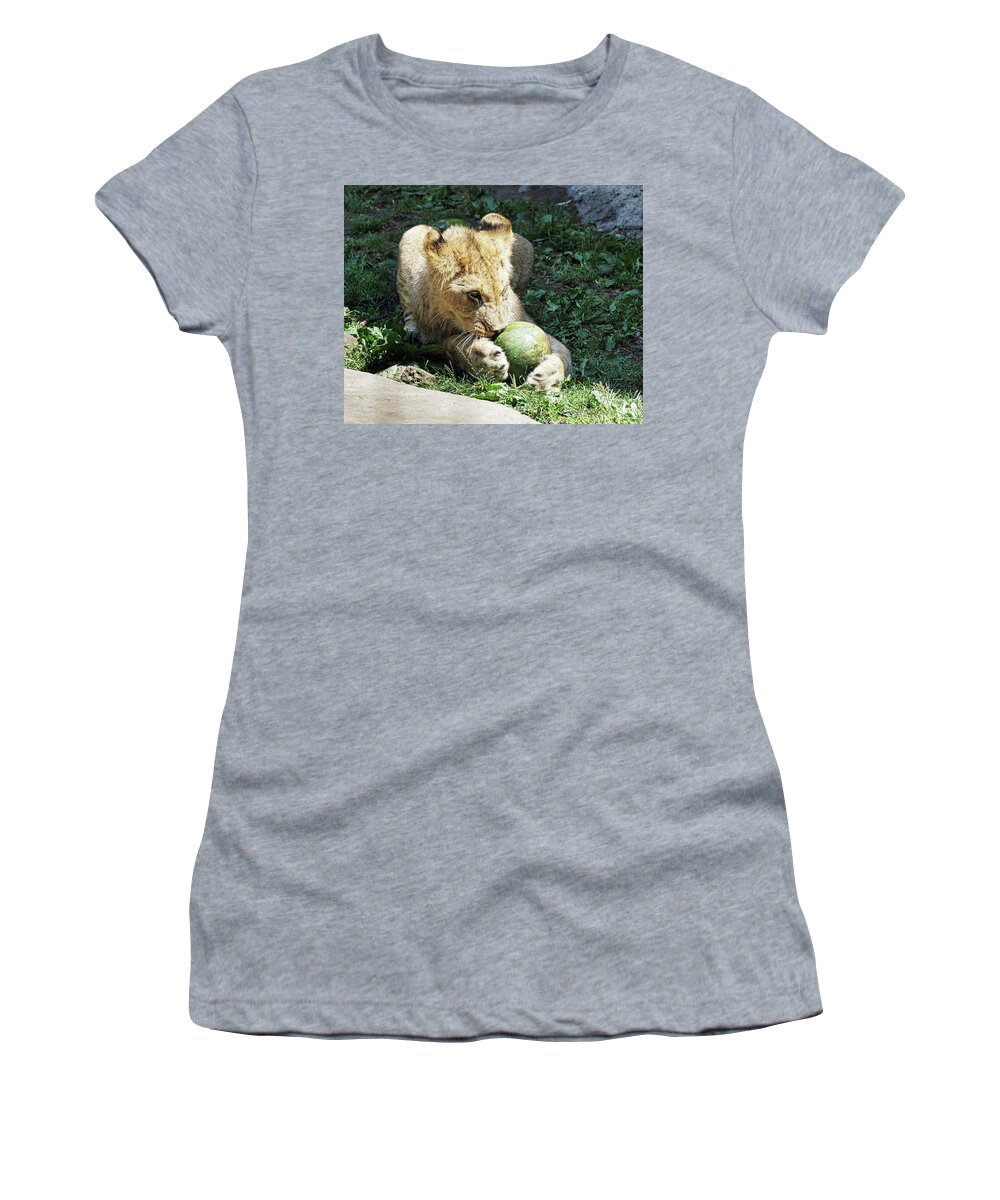 African Lion Women's T-Shirt featuring the photograph African Lion by Scott Olsen