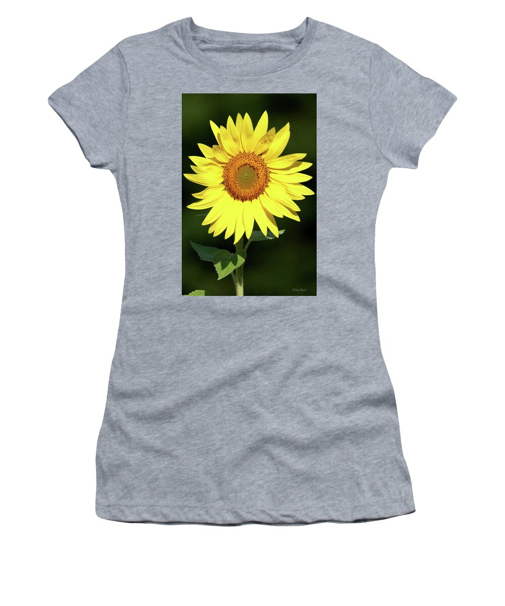 Sunflowers Women's T-Shirt featuring the photograph After the Rain There Will Be Sun by Trina Ansel