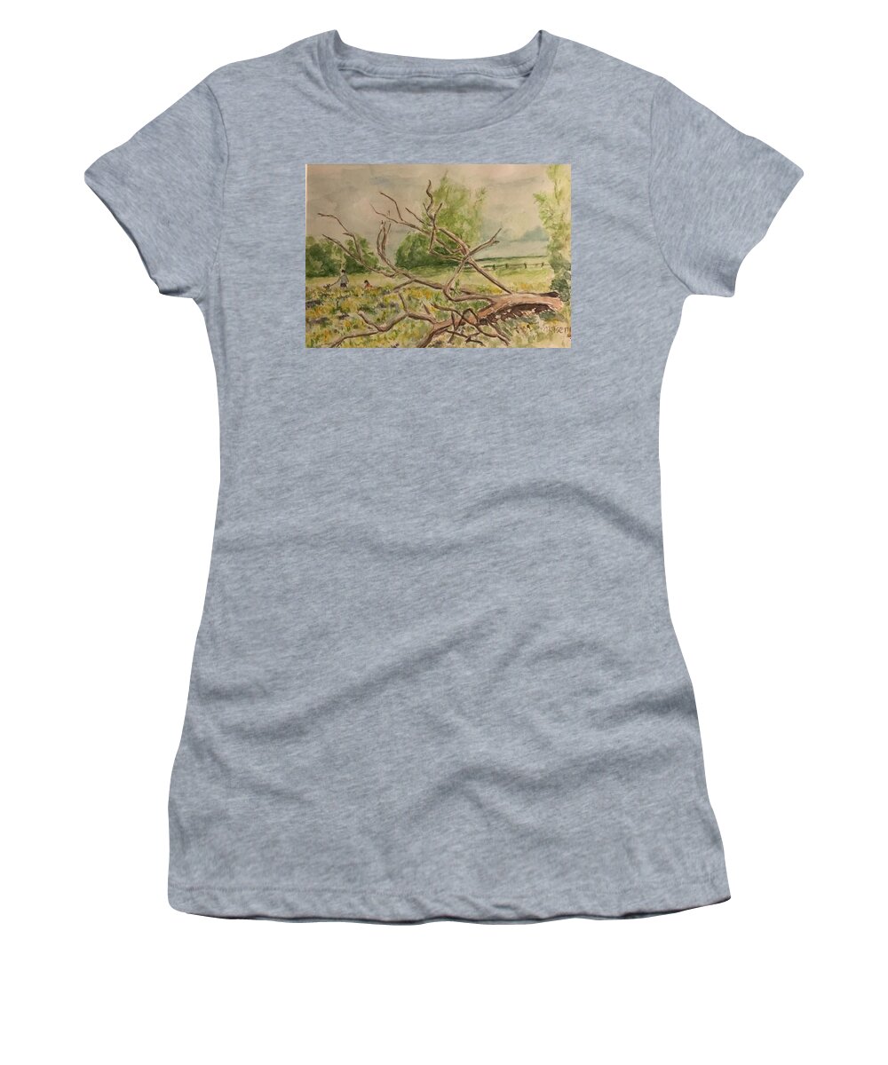 Farm Women's T-Shirt featuring the painting Afternoon walk in Scotsdale farm by Milly Tseng