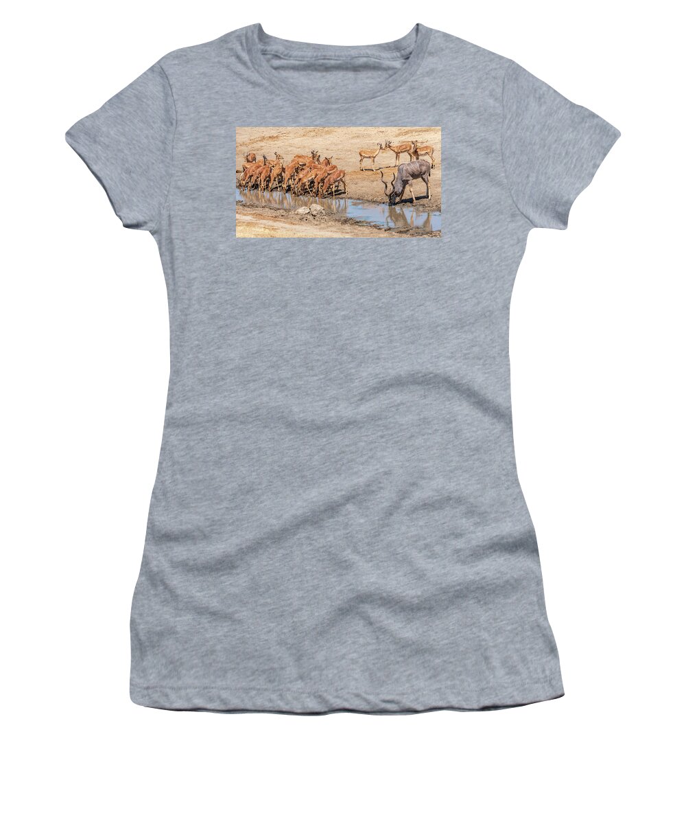 Africa Women's T-Shirt featuring the photograph All Can Drink at the Waterhole by Betty Eich
