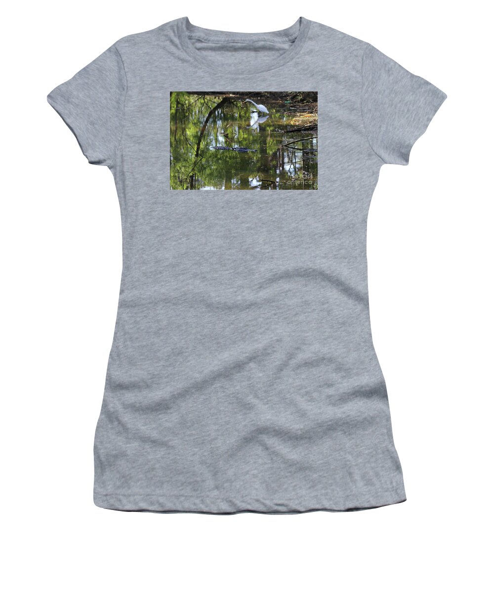 Alligator Women's T-Shirt featuring the photograph Alligator and Great White Egret 9878 by Jack Schultz