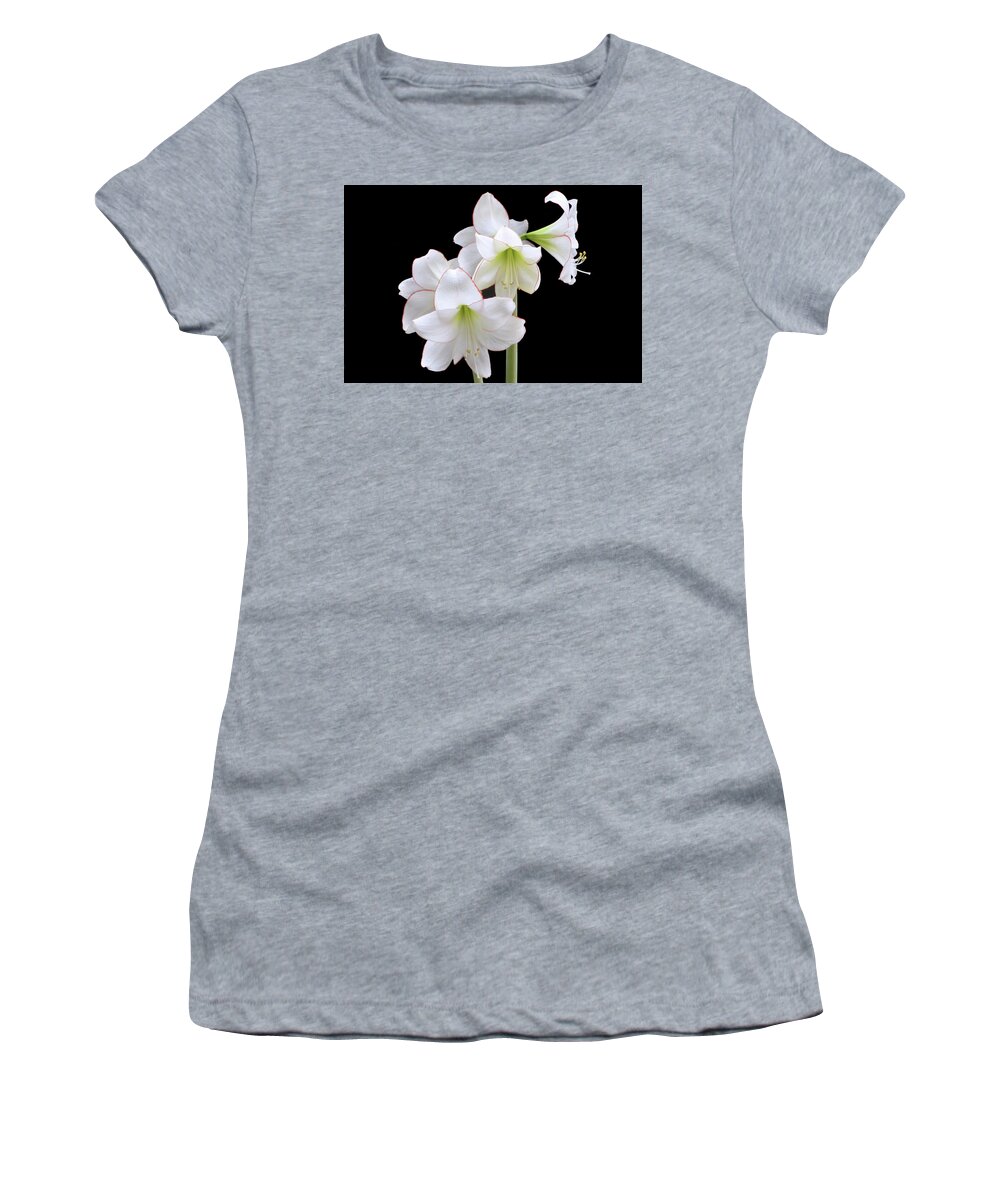 Amaryllis Women's T-Shirt featuring the photograph Amaryllis Picotee by Terence Davis