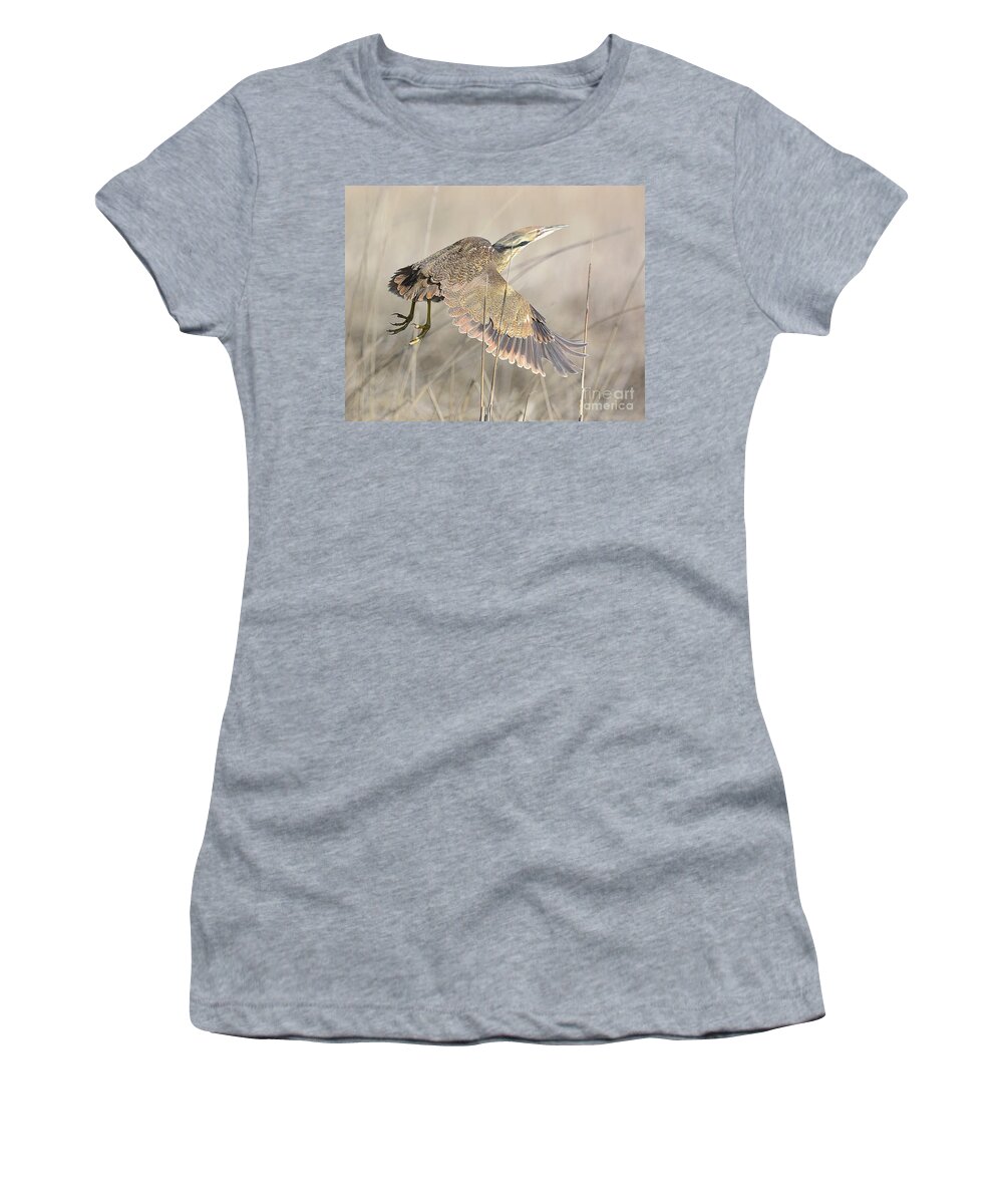 Bird Women's T-Shirt featuring the photograph American Bittern on the Wing by Dennis Hammer
