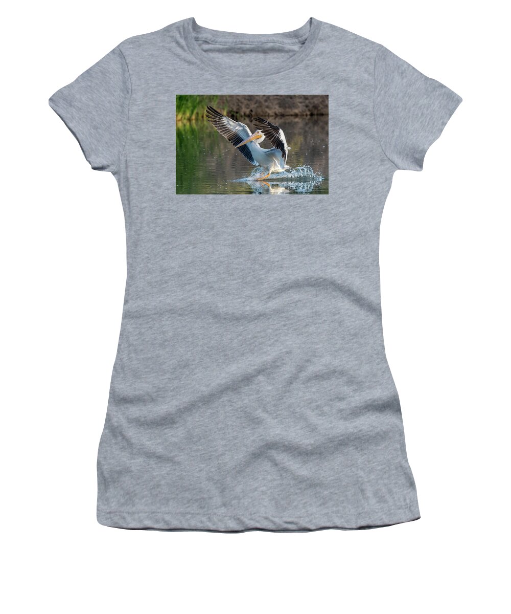 American White Pelican Women's T-Shirt featuring the photograph American White Pelican 0013-102221-2 by Tam Ryan