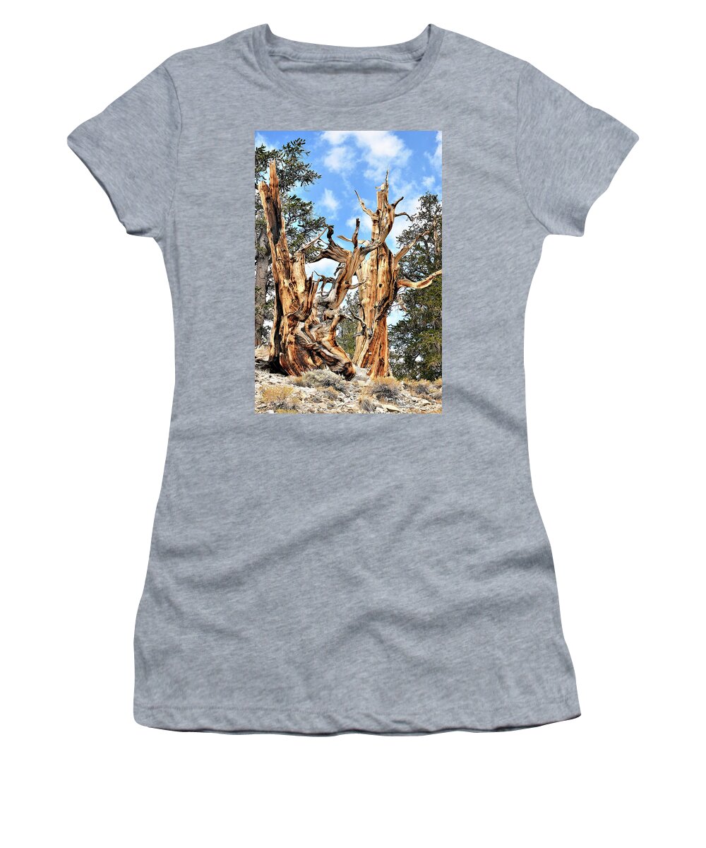 David Lawson Photography Women's T-Shirt featuring the photograph Ancient Bristlecone Pines by David Lawson
