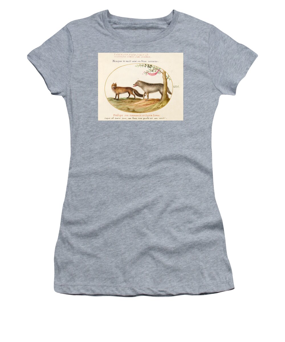 Joris Hoefnagel Women's T-Shirt featuring the drawing Animalia Qvadrvpedia et Reptilia, Plate XXVI by Joris Hoefnagel
