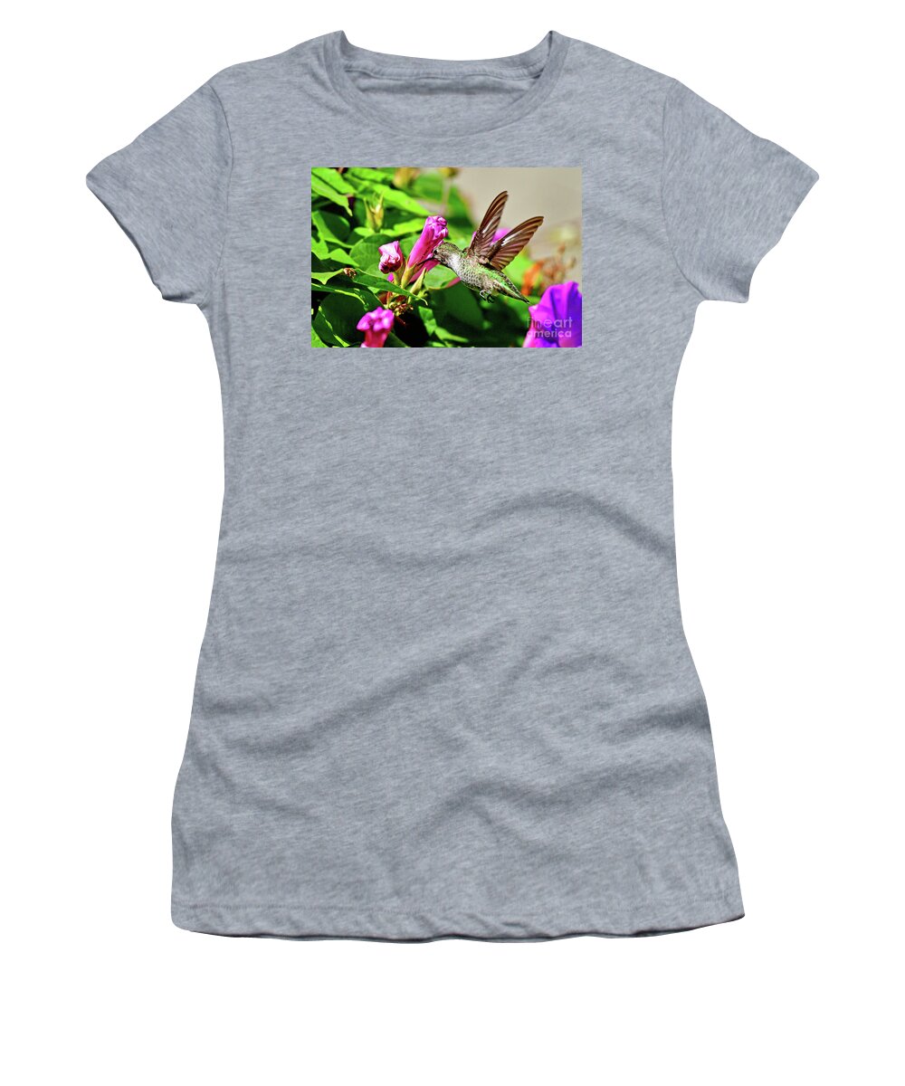 Anna's Hummingbird Women's T-Shirt featuring the photograph Anna's hummingbird by Amazing Action Photo Video