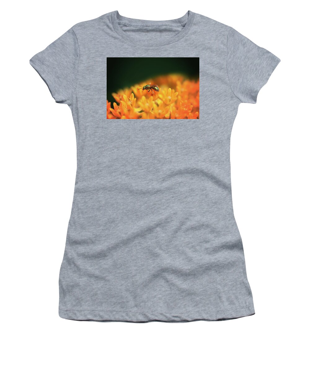  Women's T-Shirt featuring the photograph Ant on Orange by Nicole Engstrom