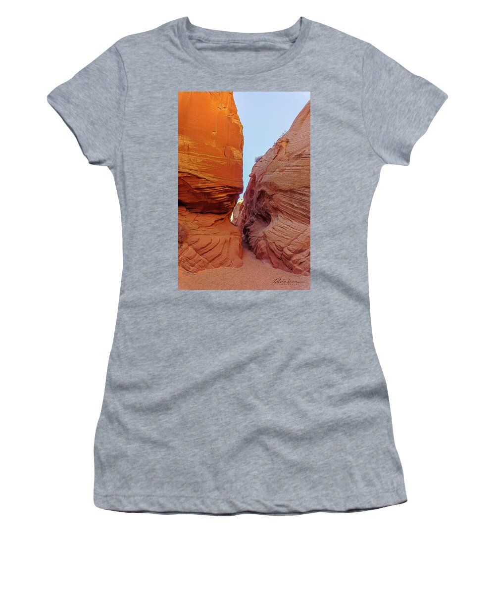 Landscape Women's T-Shirt featuring the photograph Antilope Series 5 by Silvia Marcoschamer