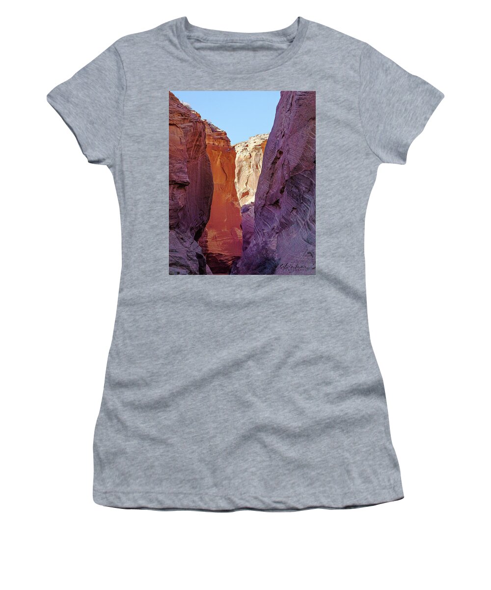 Landscape Women's T-Shirt featuring the photograph Antilope Series 7 by Silvia Marcoschamer