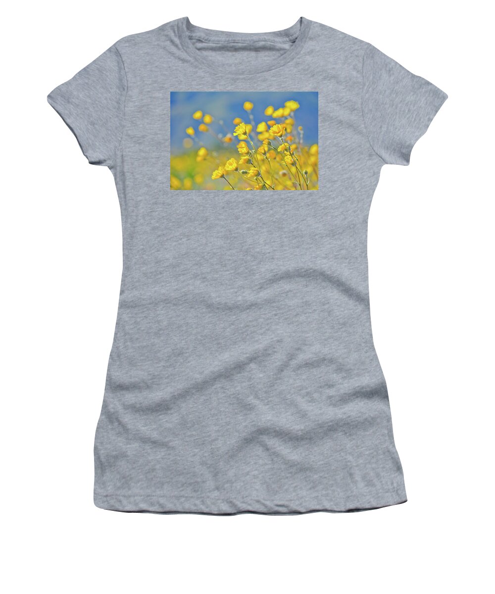 Desert Sunflower Women's T-Shirt featuring the photograph Anza Borrego Desert Sunflower by Kyle Hanson