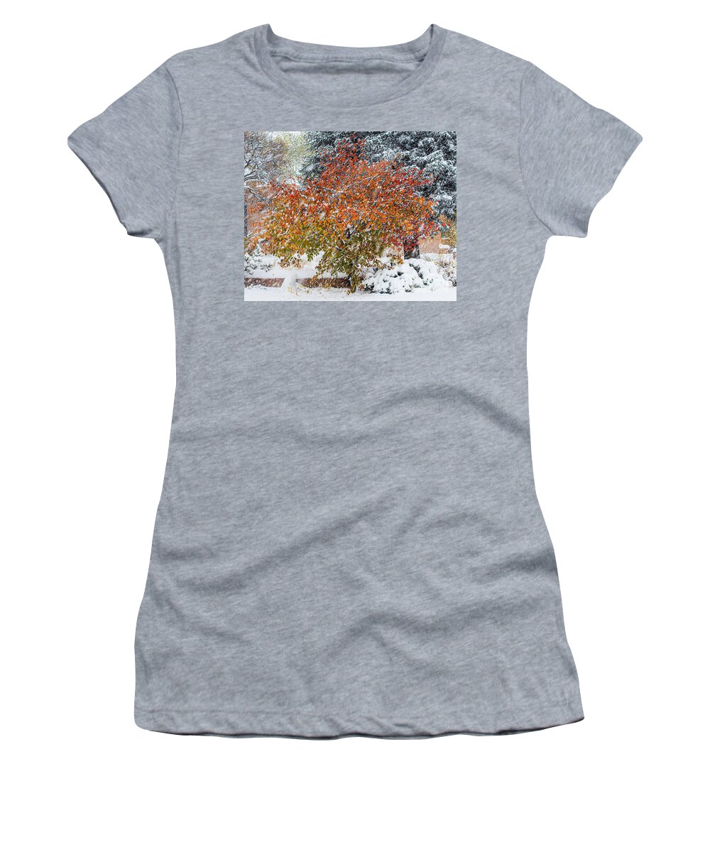 Taos Women's T-Shirt featuring the photograph Apricot Tree in a Winter Storm by Elijah Rael