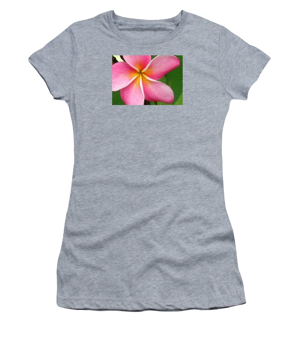Hawaii Iphone Cases Women's T-Shirt featuring the photograph April Plumeria by James Temple