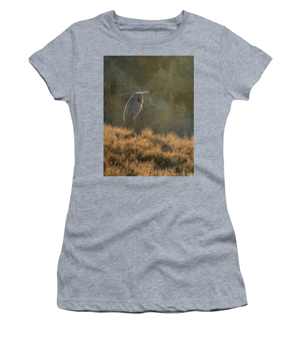 Heron Women's T-Shirt featuring the photograph Ardea Herodias by Mary Lee Dereske