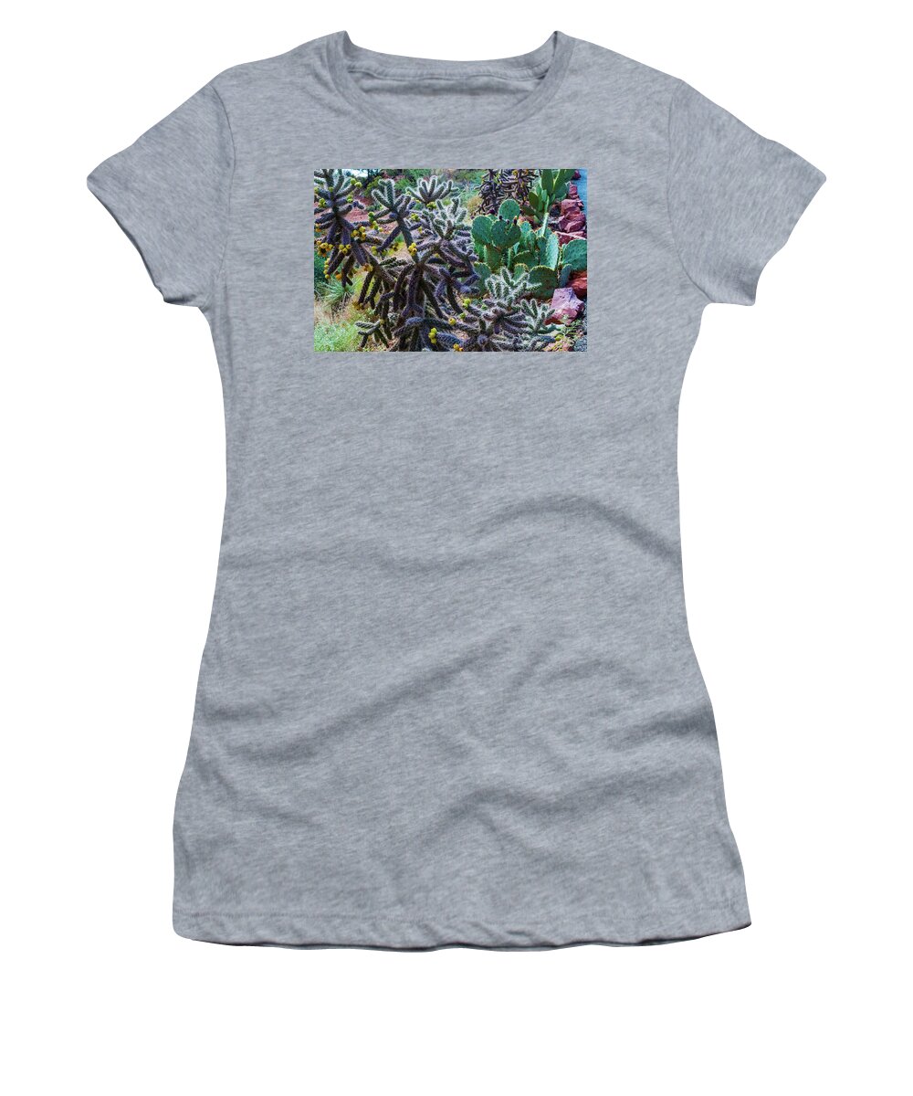 Arizona Women's T-Shirt featuring the photograph Arizona Desert Cactus by Gordon Sarti