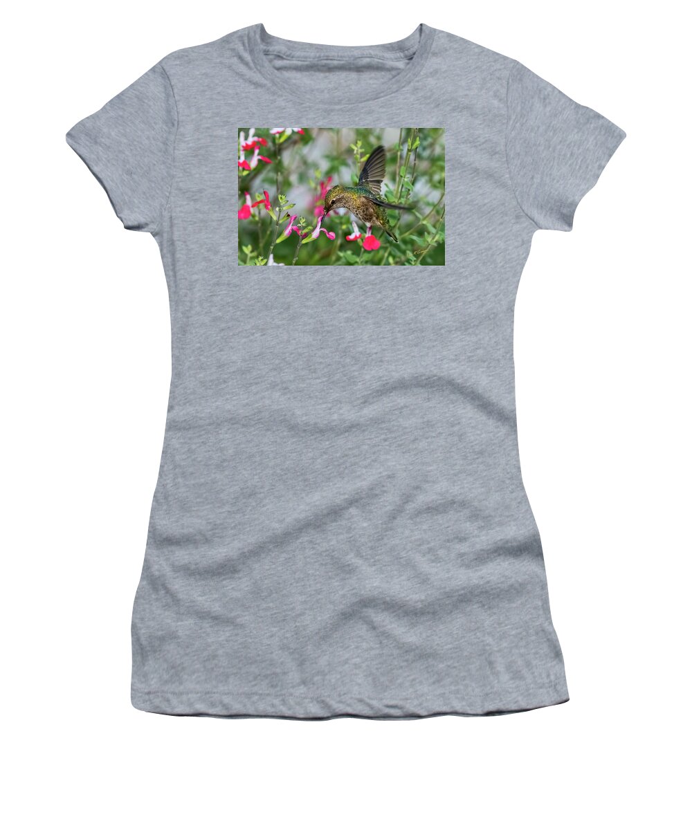Hummingbird Women's T-Shirt featuring the photograph Armor Plated by Dan McGeorge