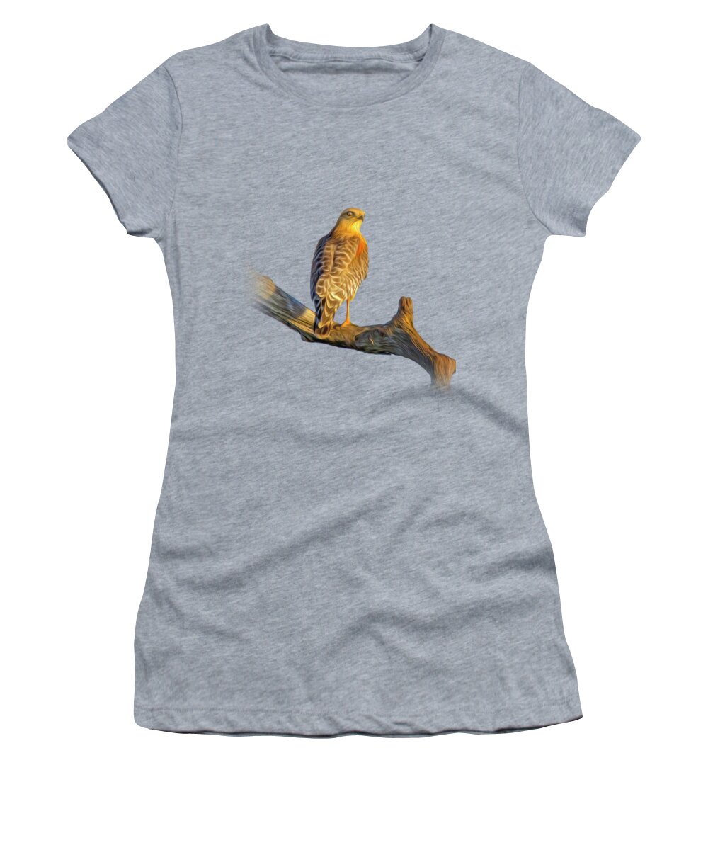 Hawk Women's T-Shirt featuring the photograph A Red Shouldered Hawk at Sunset by Mark Andrew Thomas