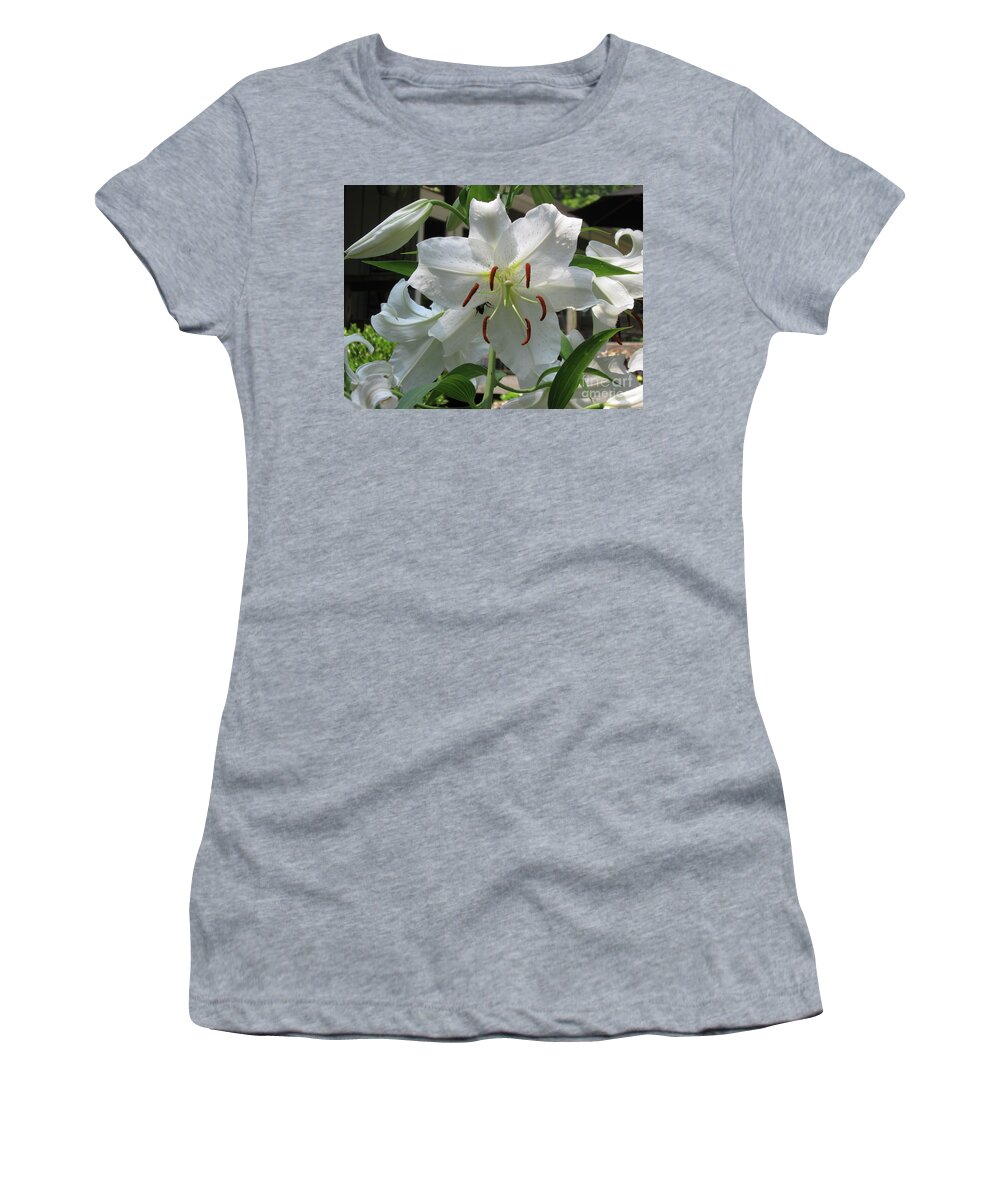Plant Women's T-Shirt featuring the photograph Hide and Seek... Bee in Casa Blanca White Lily in Raleigh, NC by Catherine Ludwig Donleycott