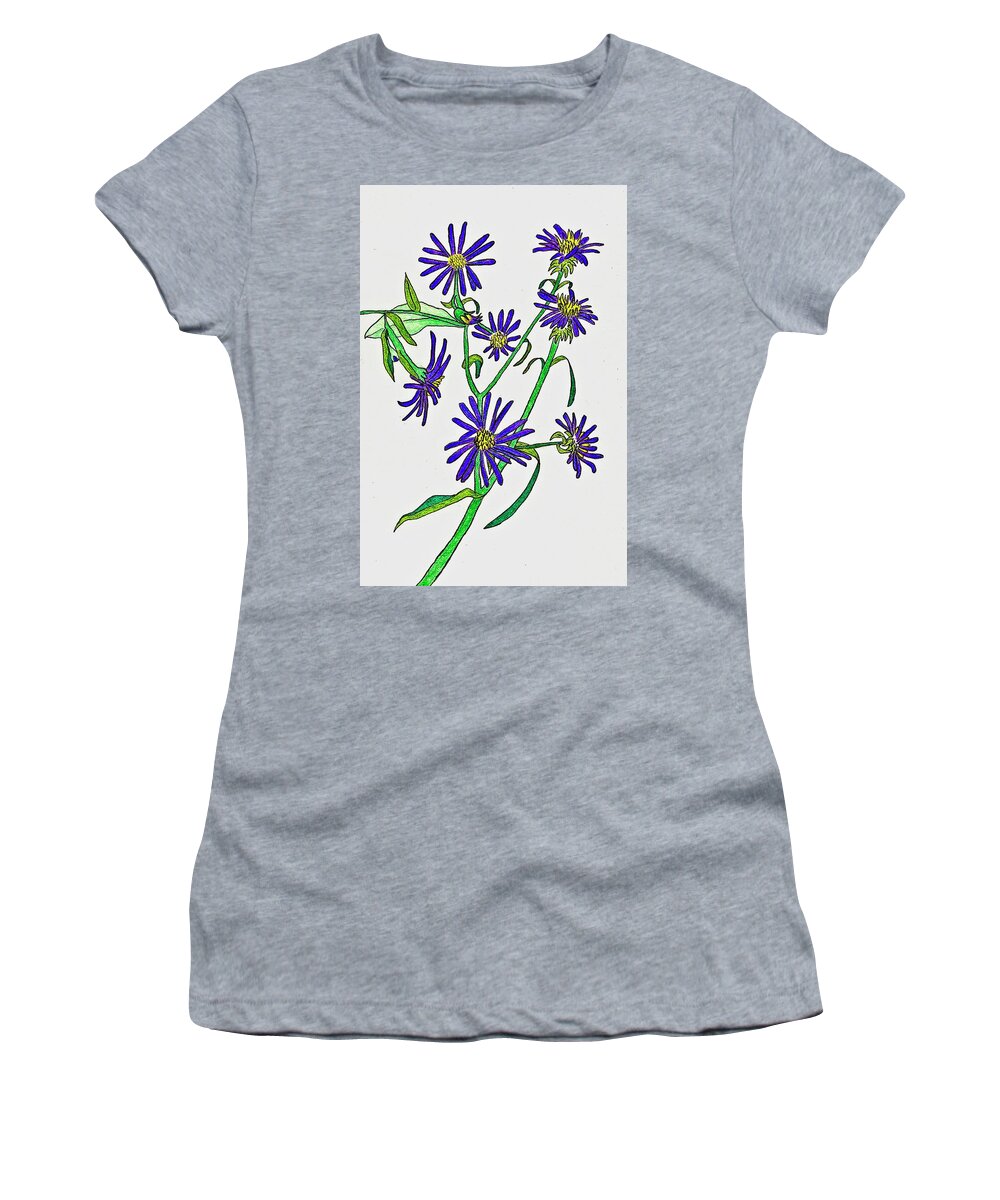 Aster Women's T-Shirt featuring the drawing Aster Wildflowers by Karen Nice-Webb