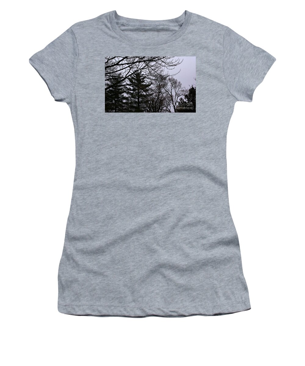 Landscape Women's T-Shirt featuring the photograph Authentic Expression by Frank J Casella