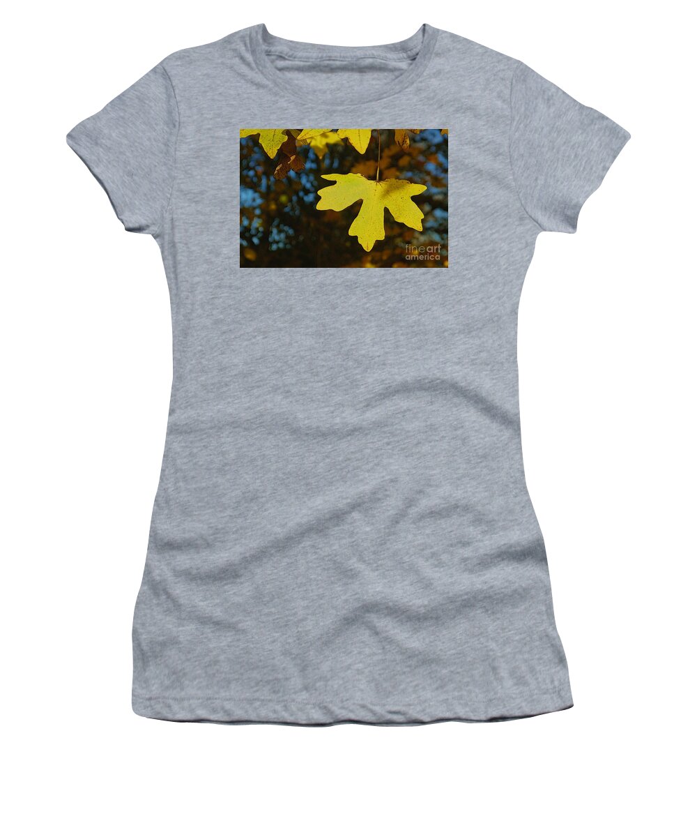 Art Women's T-Shirt featuring the photograph Autumn Leaves 22 by Jean Bernard Roussilhe