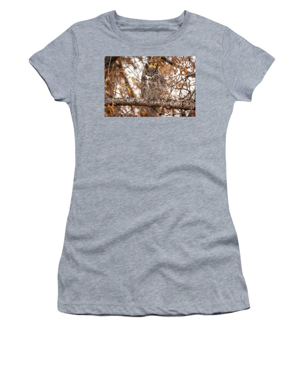 Great-horned Owl Women's T-Shirt featuring the photograph Autumn owl by D Robert Franz
