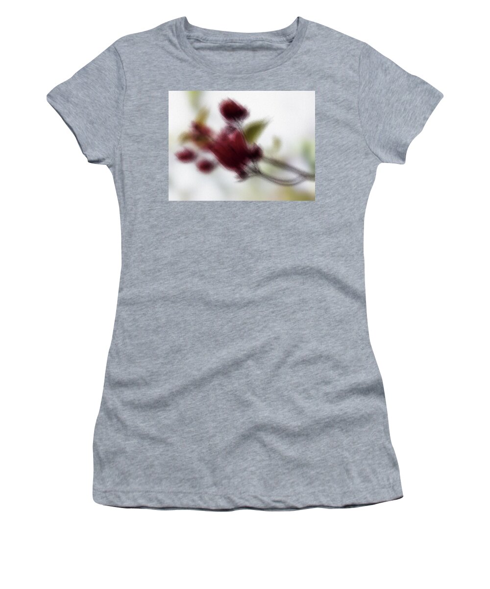 Autumn Red Women's T-Shirt featuring the photograph Autumn Red by Al Fio Bonina