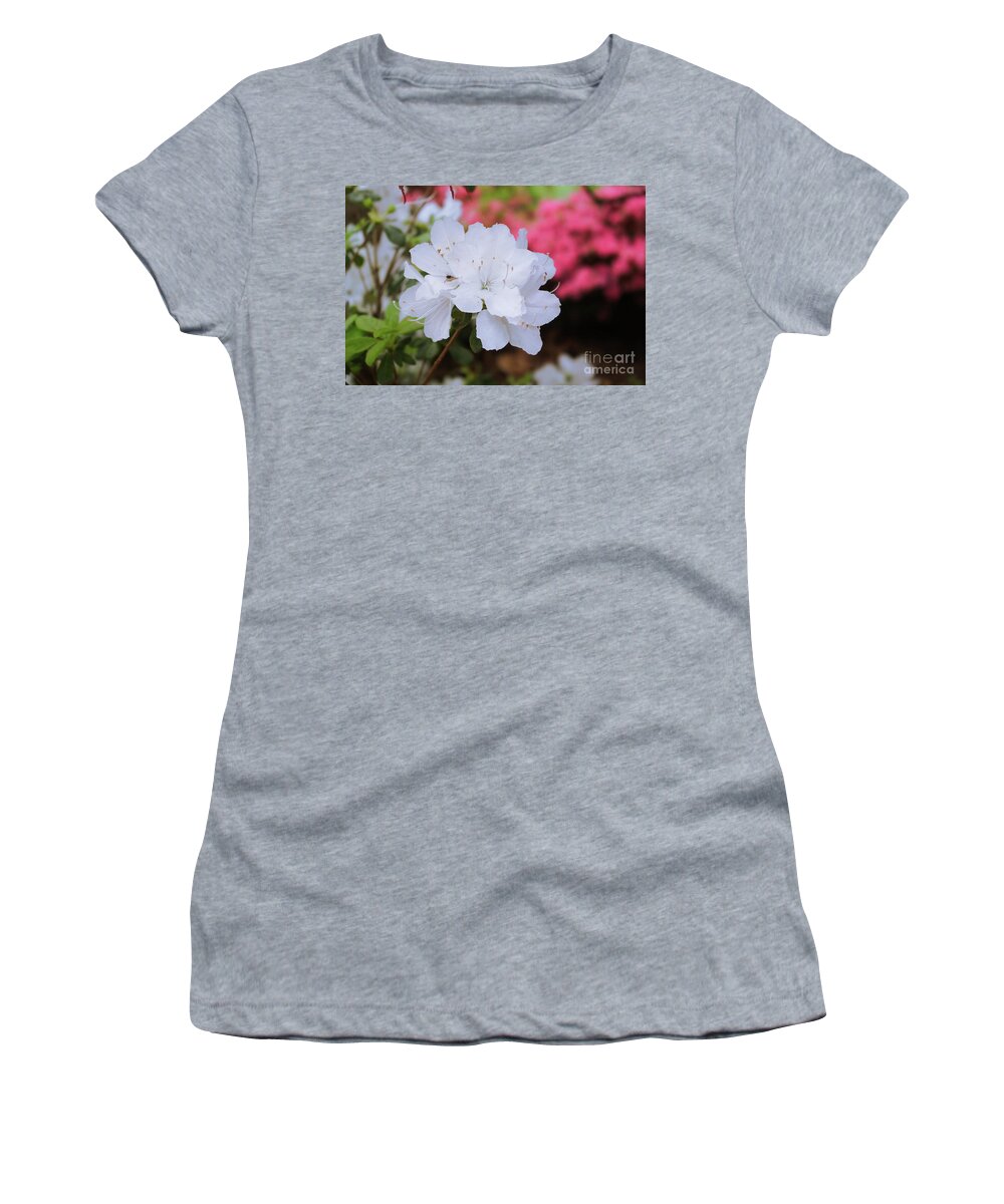 Azaleas Women's T-Shirt featuring the photograph Azaleas in Turtle Creek by Diana Mary Sharpton