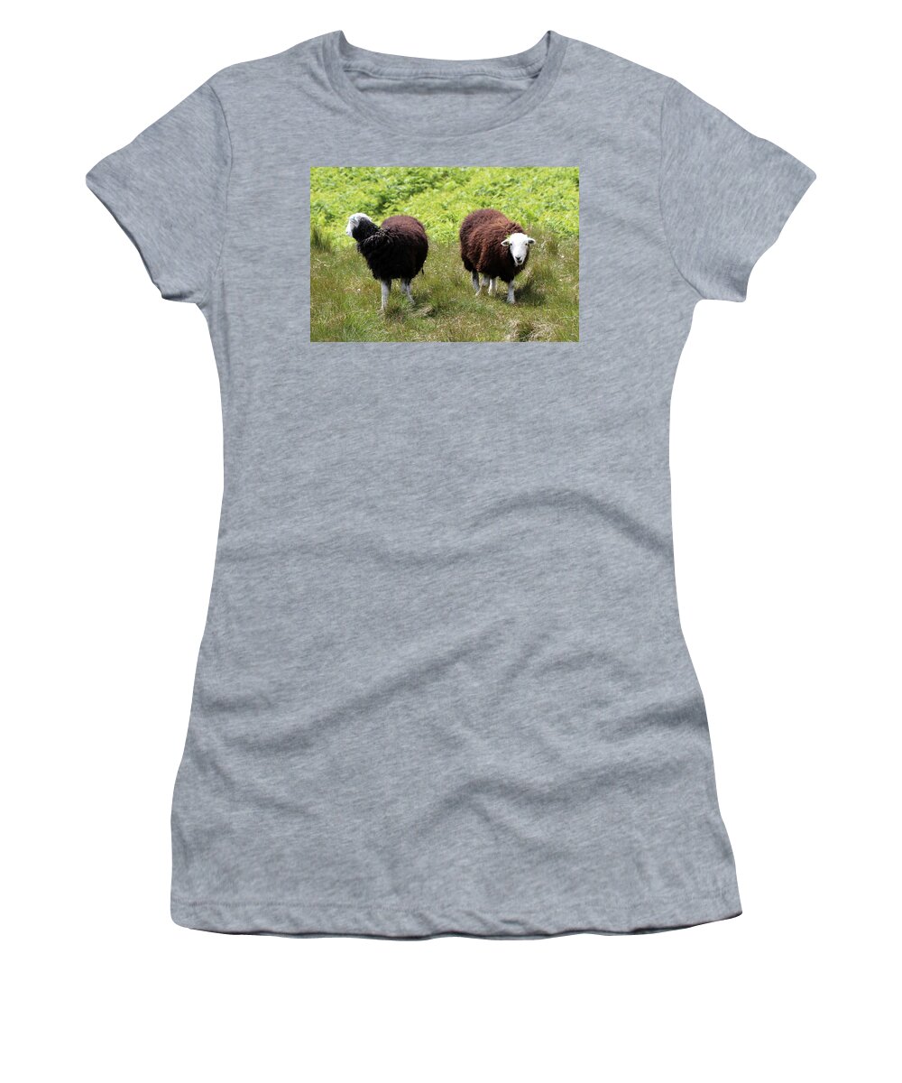 Sheep Women's T-Shirt featuring the photograph Baa by Lukasz Ryszka