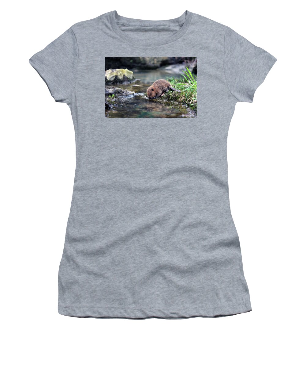  Women's T-Shirt featuring the photograph Baby Beaver by William Rainey
