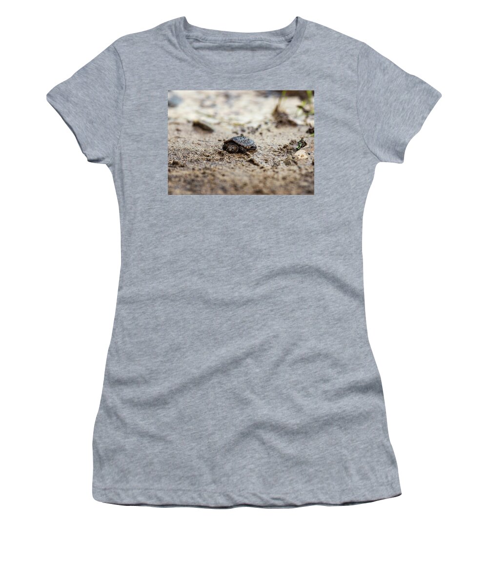 Animal Women's T-Shirt featuring the photograph Baby Turtle by Amelia Pearn