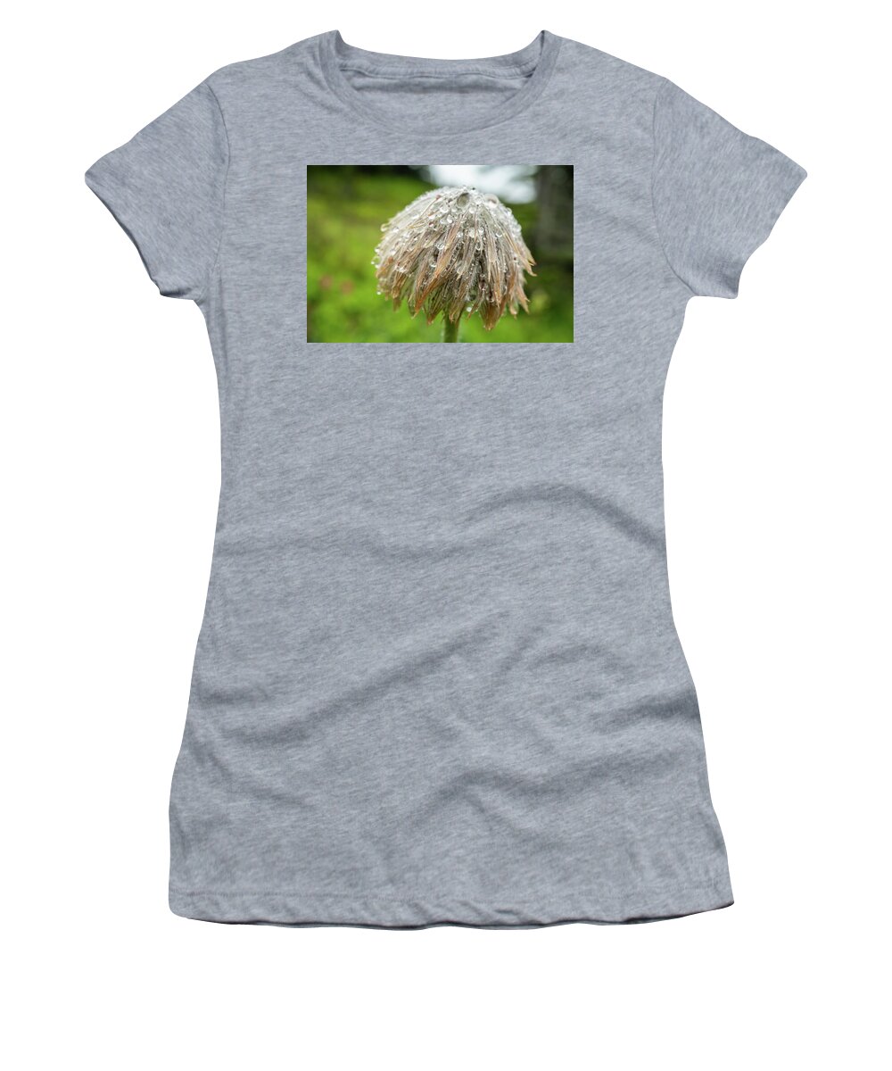 Raindrops Women's T-Shirt featuring the photograph Bad Hair Day by Louise Kornreich