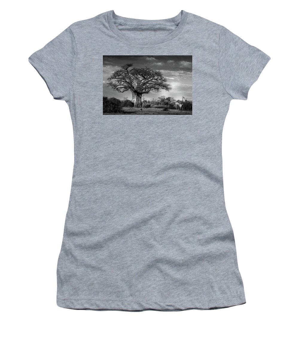 Baobab Women's T-Shirt featuring the photograph Baobab in Black and White by MaryJane Sesto