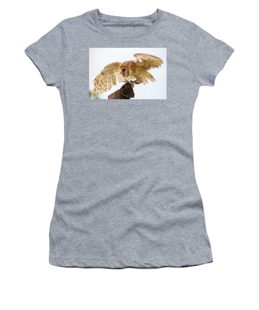Bird Women's T-Shirt featuring the photograph Barn Owl-1 by John Kirkland