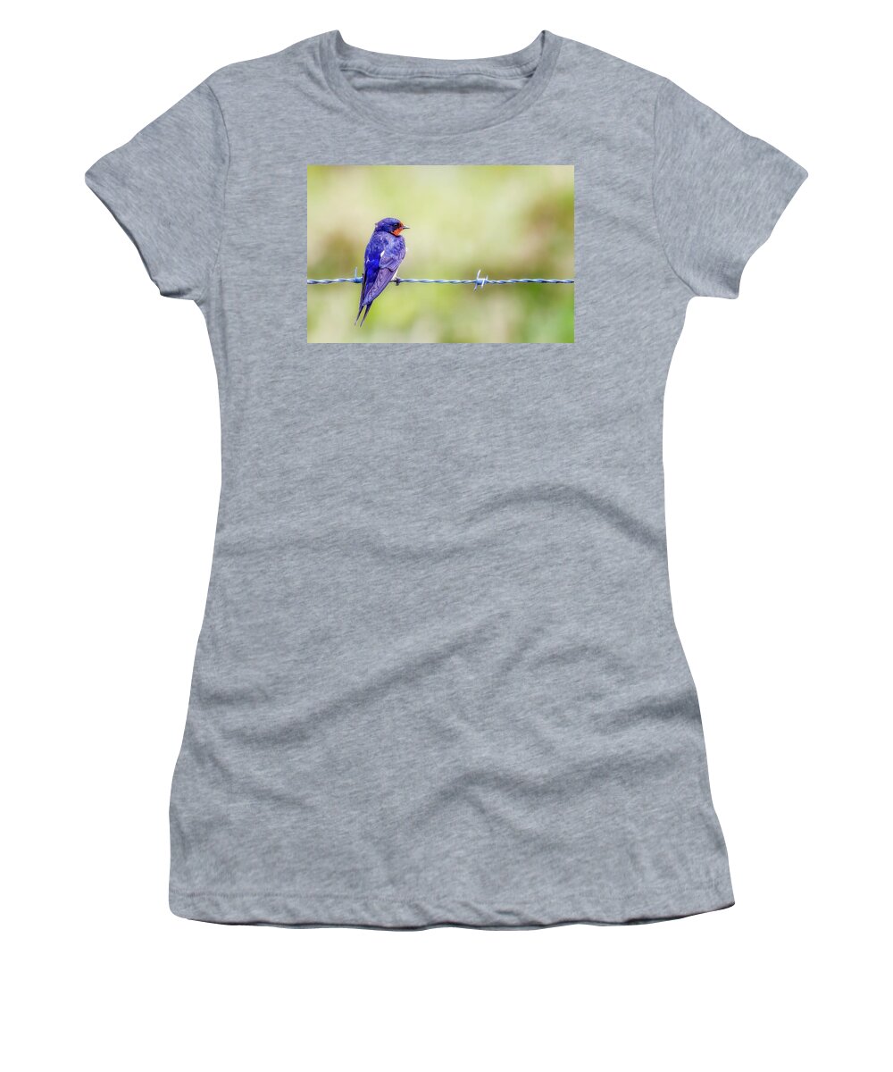 Barn Swallow Women's T-Shirt featuring the photograph Barn Swallow Perched on Barbed Wire by Susan Rissi Tregoning