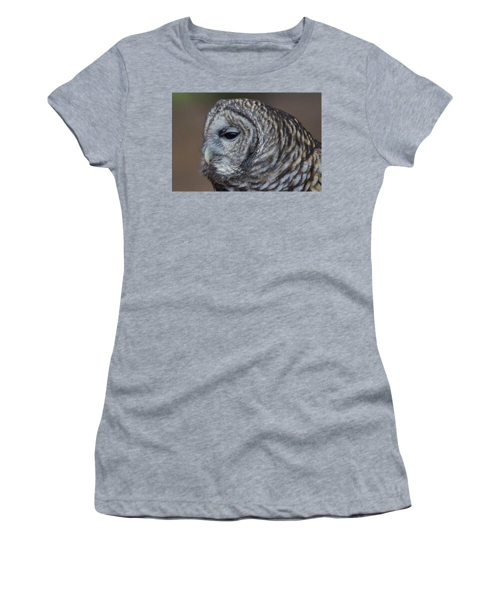 Barred Owl Looks On Women's T-Shirt featuring the photograph Barred Owl looks on by Carolyn Hall