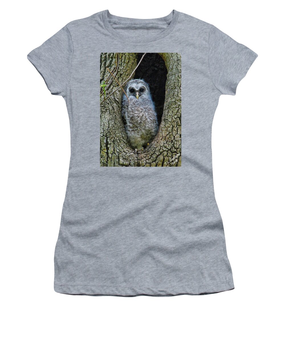 Owlet Women's T-Shirt featuring the photograph Barred Owlet by Judy Cuddehe