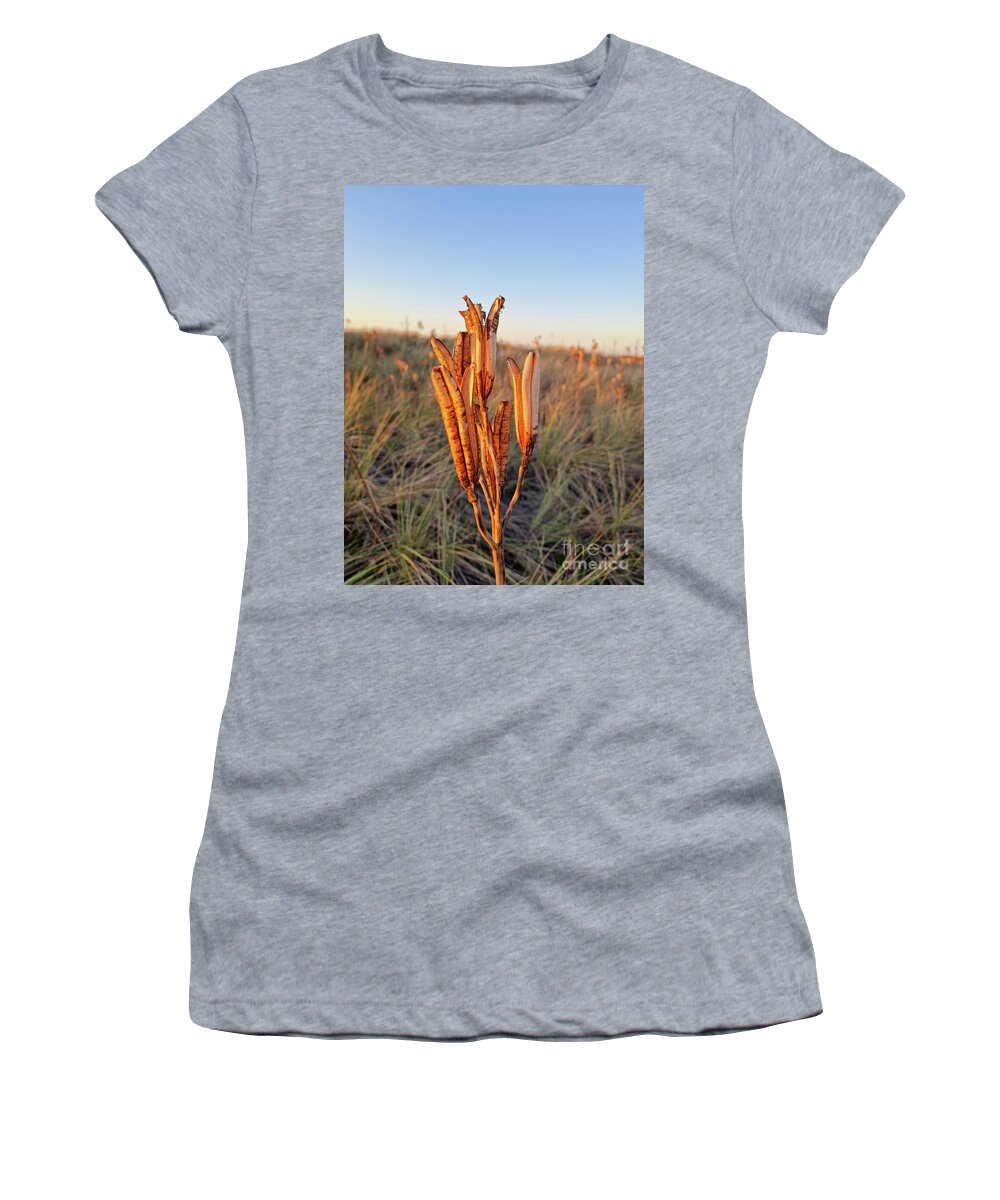 Beach Women's T-Shirt featuring the photograph Beach Lily Pods by Tracey Lee Cassin