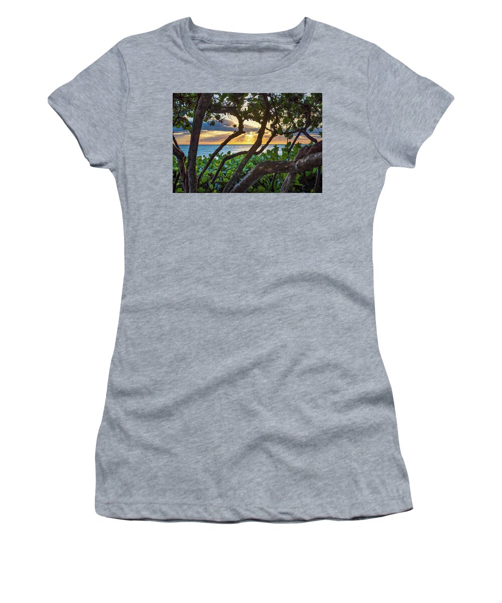 Beach Women's T-Shirt featuring the photograph Sun Through the Seagrape Trees by Laura Fasulo